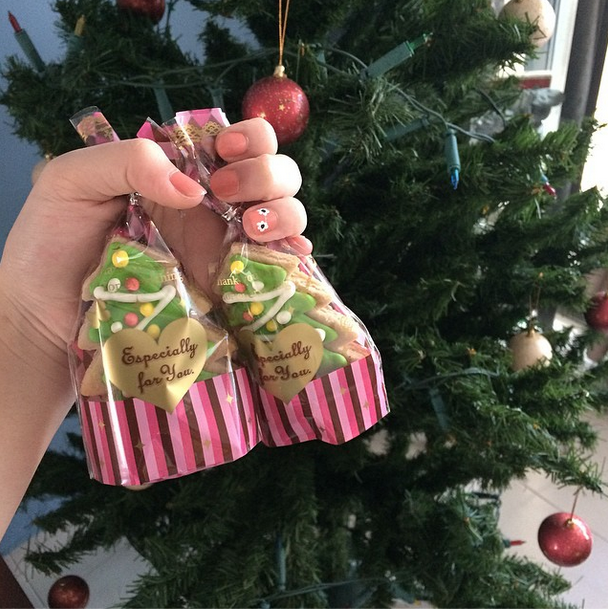 christmas tree in a pot insta